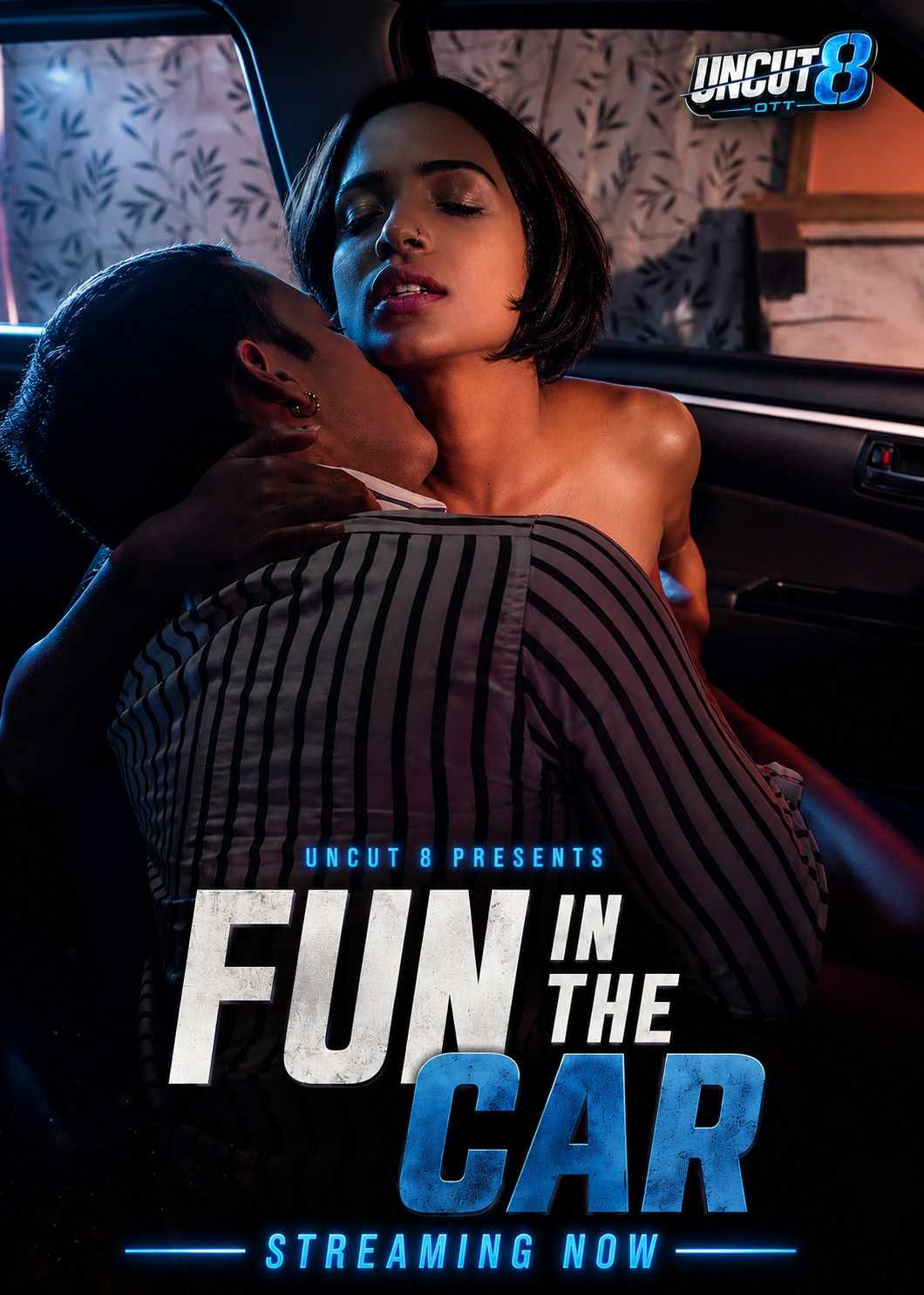 Fun In The Car poster